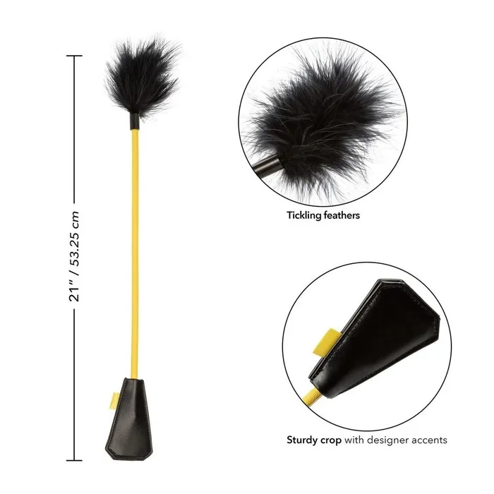 2 in 1 Feather Tickler + Paddle | Calexotics Female Sex Toys