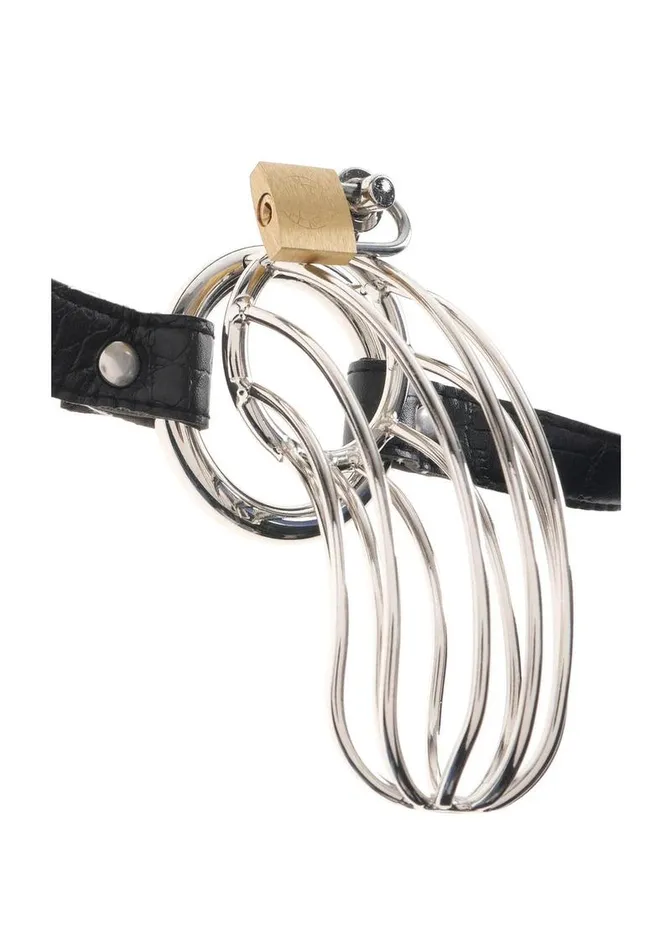 Fetish Fantasy Extreme Male Sex Toys Fetish Fantasy Extreme The Prisoner Steel Cock Cage Chastity Belt with Lock