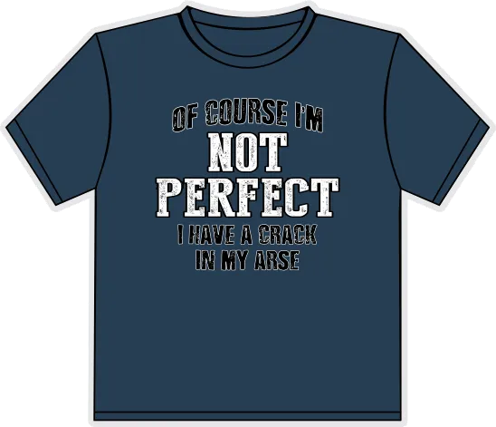 House Of Fun Male Sex Toys NOT PERFECT TSHIRT