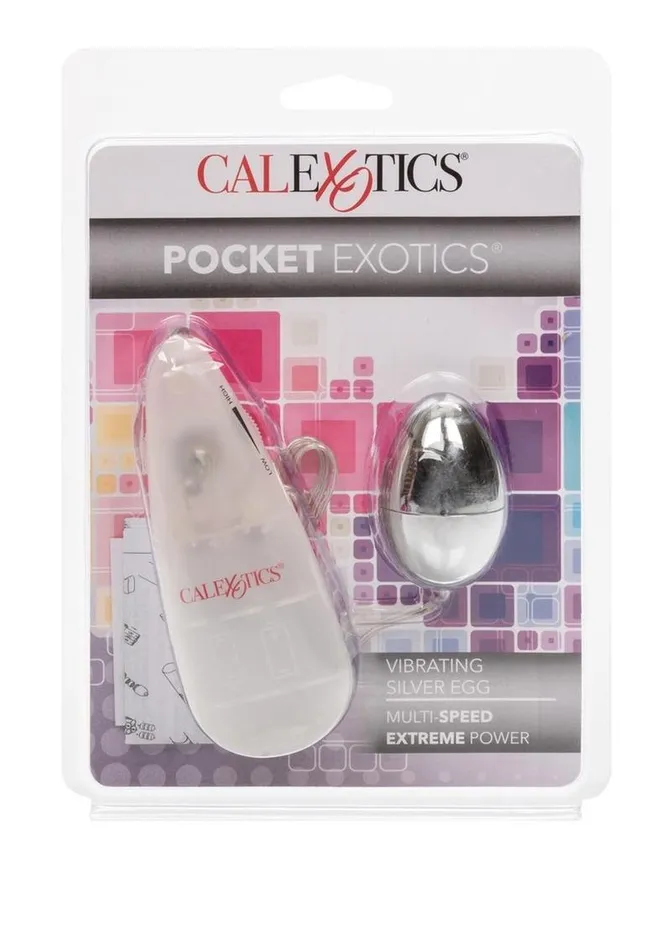 Pocket Exotics Female Sex Toys Pocket Exotics Vibrating Silver Egg