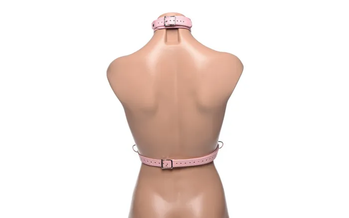 FRISKY Vibrators Miss Behave Pink Chest Harness