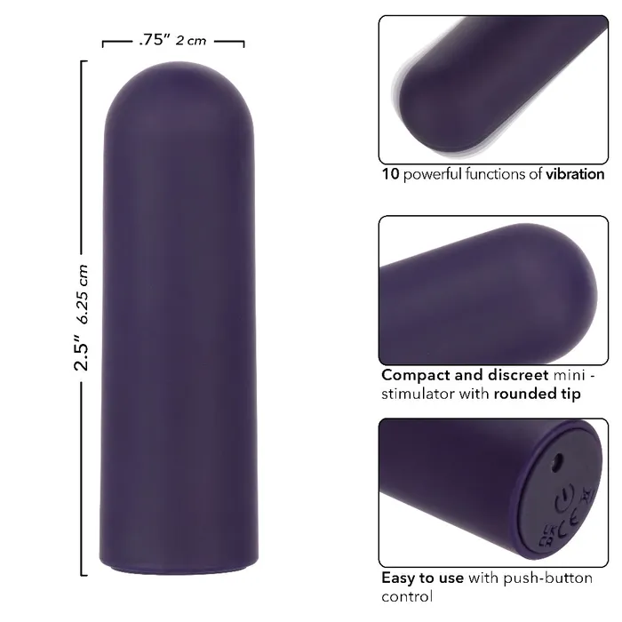 CalExotics Vibrators Turbo Buzz Rounded Mini Bullet Purple